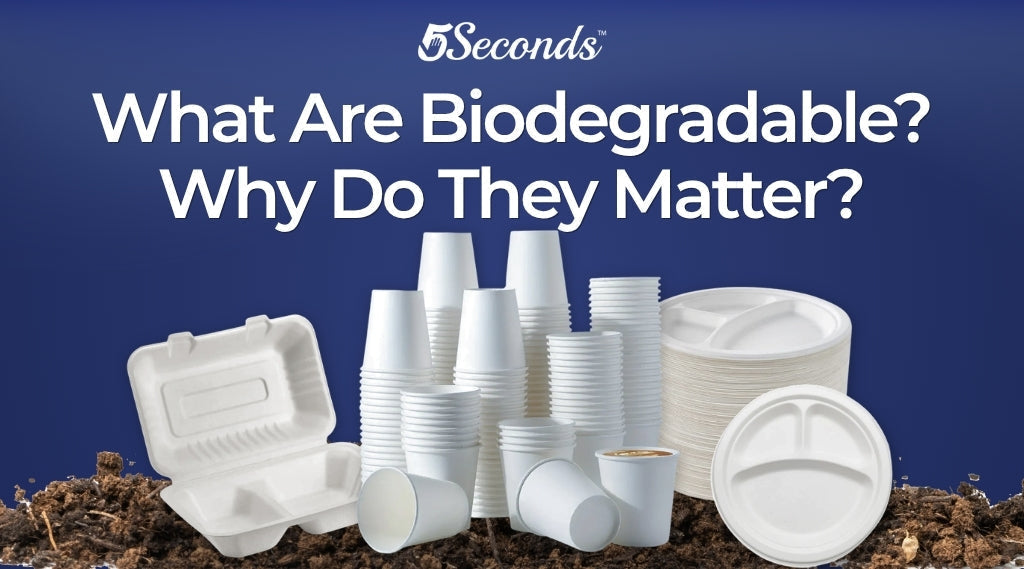 What Are Biodegradable Products and Why Do They Matter?