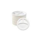Biodegradable Sugarcane Baggase 3 Compartment Plate for Hot and Cold Food | 9" | 500 Pcs | Environmental Friendly